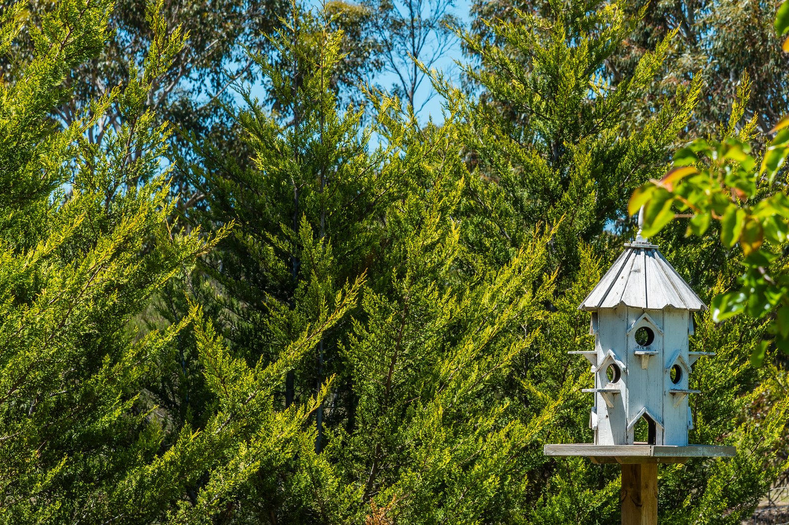 Real Estate and Property in 53 King Drive, Lancefield, VIC