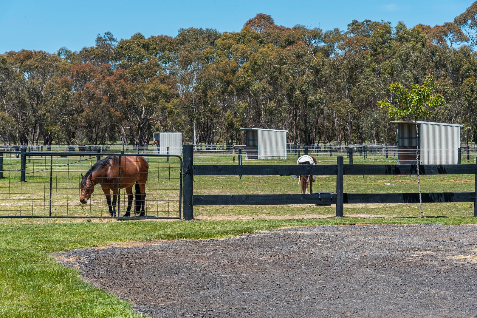 Real Estate and Property in 53 King Drive, Lancefield, VIC