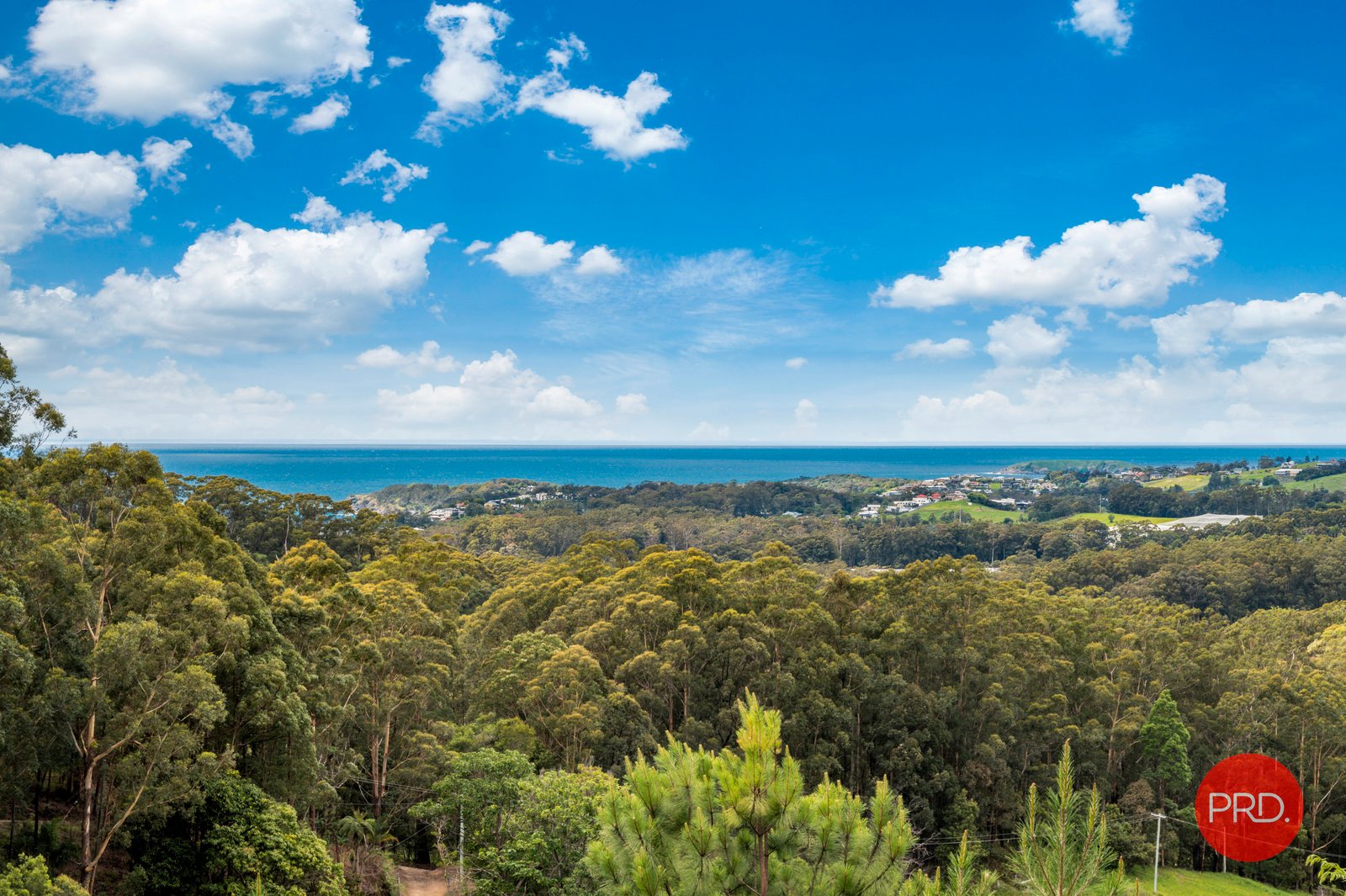 53 Lovetts Road KORORA 18