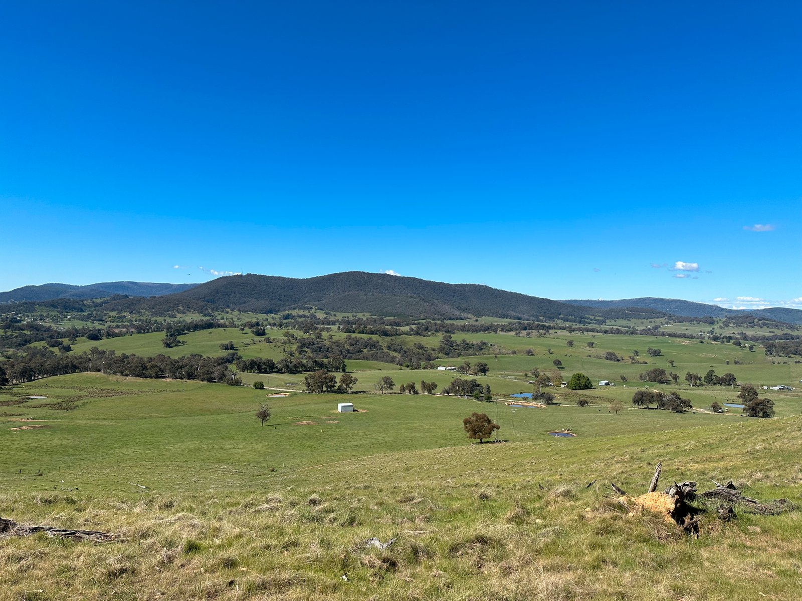 53 McClellands Lane TUMBARUMBA 1