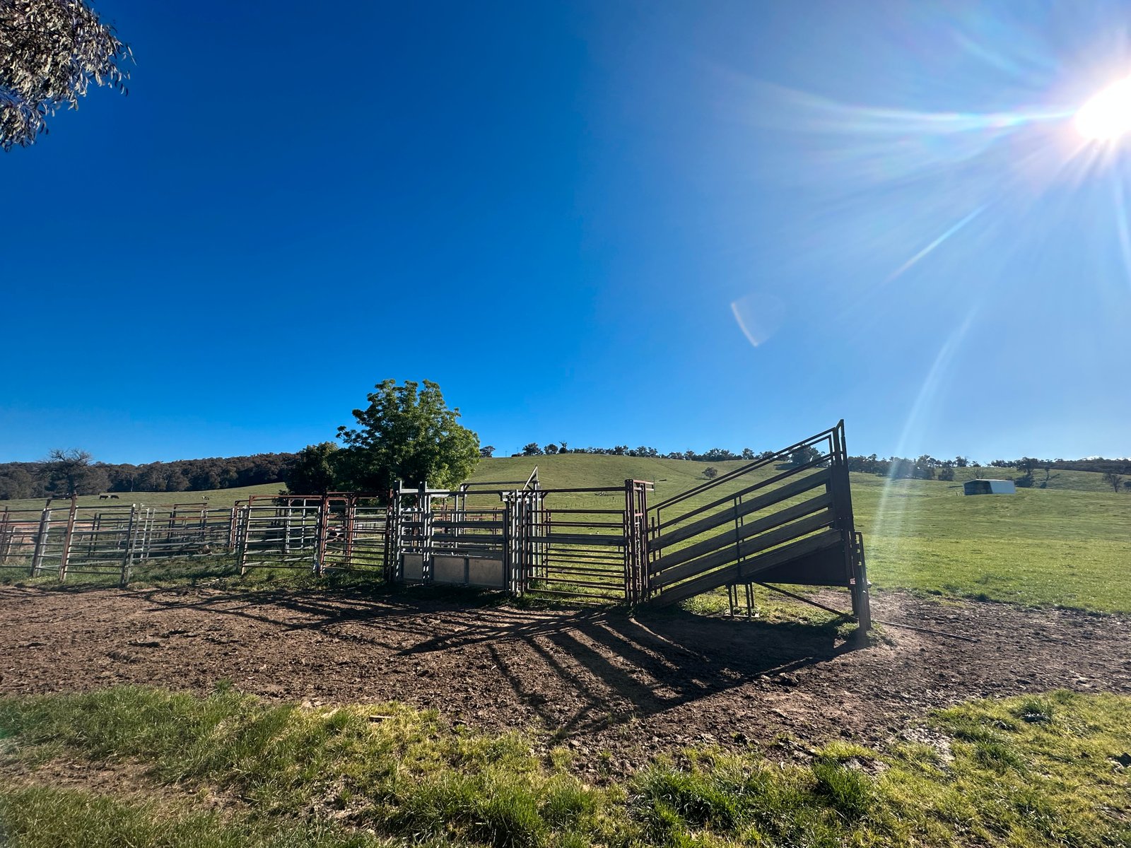 53 McClellands Lane TUMBARUMBA 8