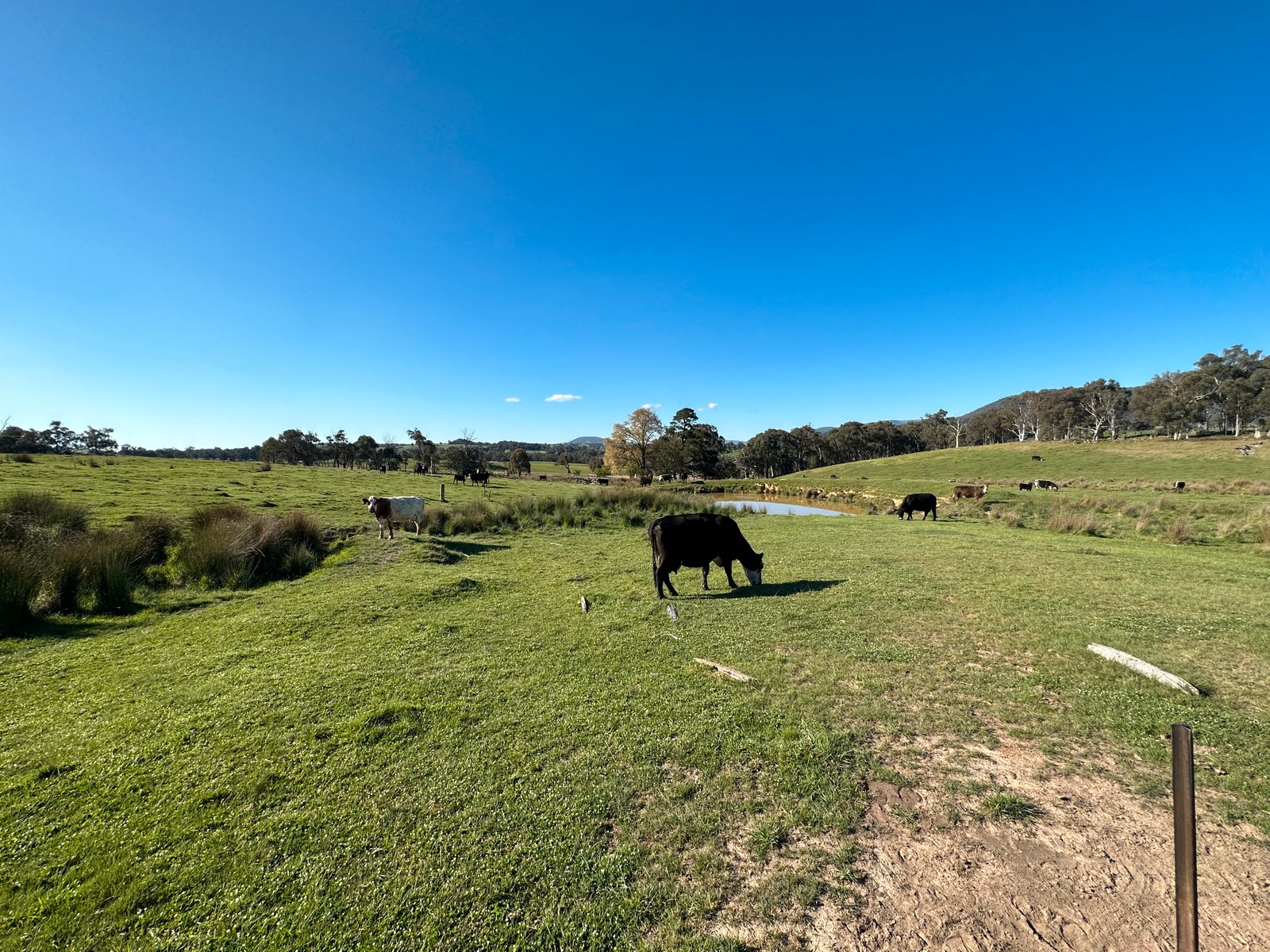 53 McClellands Lane TUMBARUMBA 11