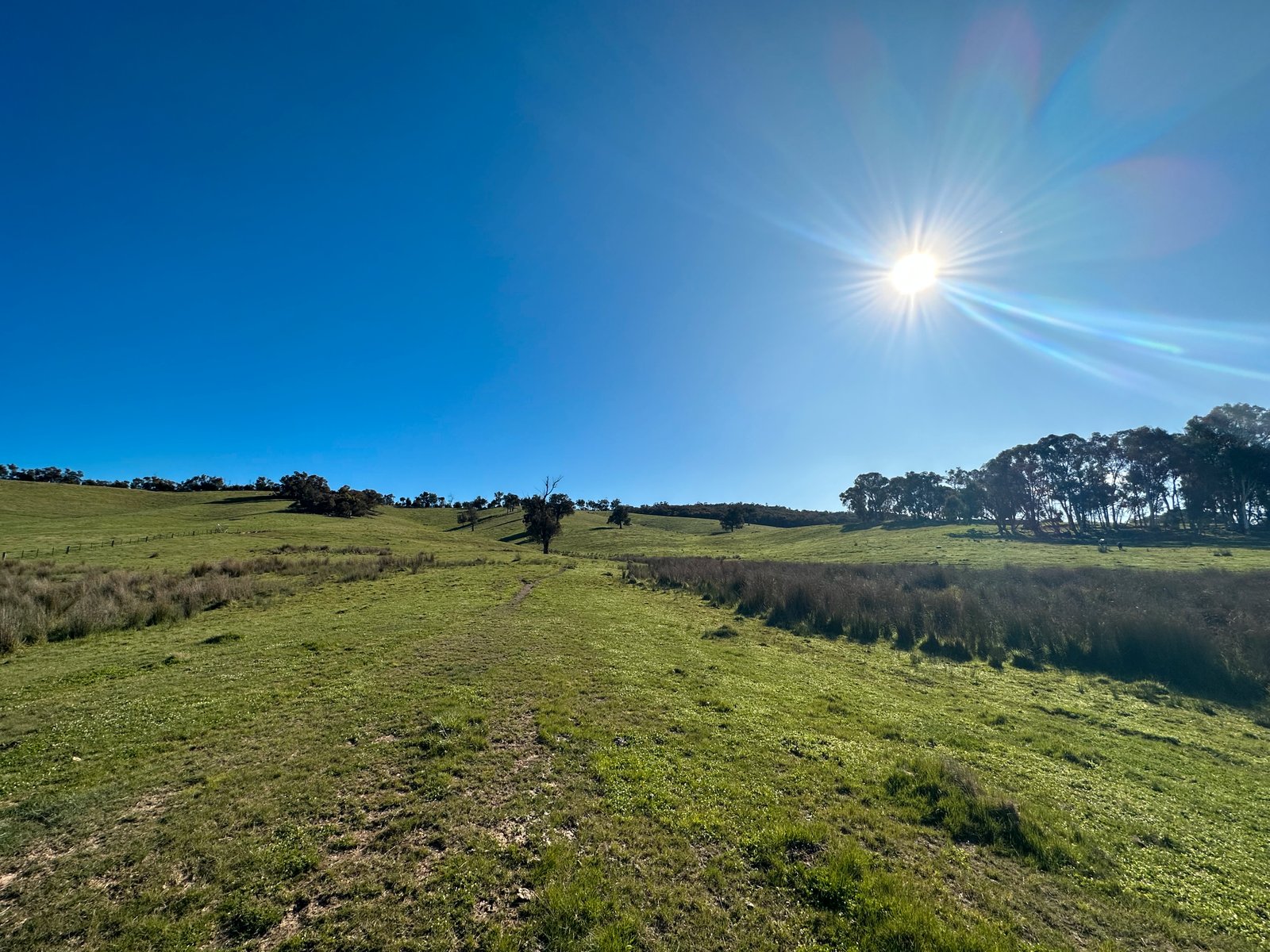 53 McClellands Lane TUMBARUMBA 12