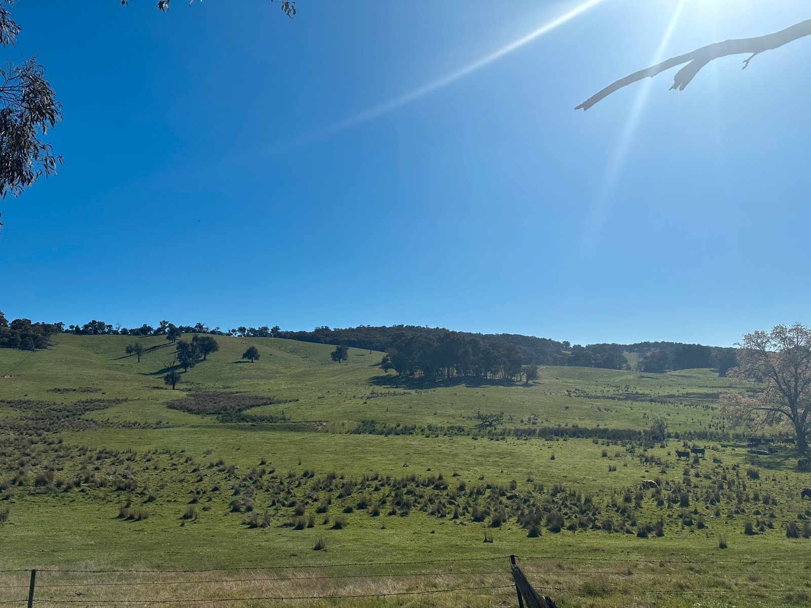 53 McClellands Lane TUMBARUMBA 14