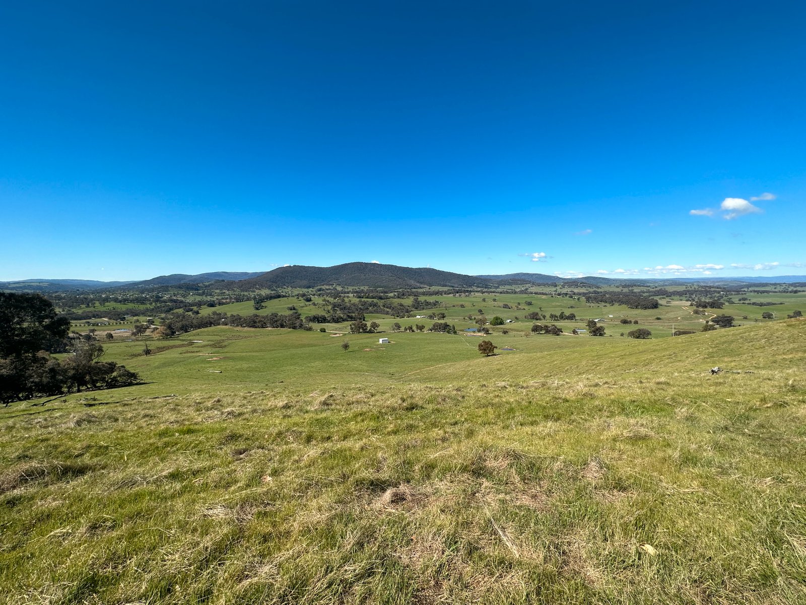 53 McClellands Lane TUMBARUMBA 20