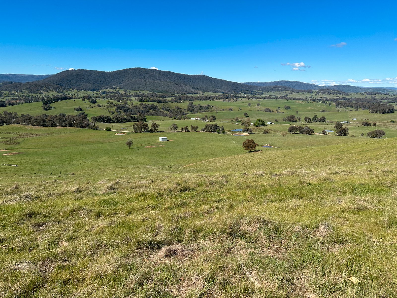 53 McClellands Lane TUMBARUMBA 21