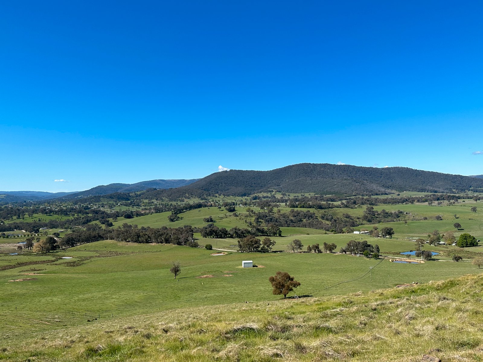 53 McClellands Lane TUMBARUMBA NSW 2653