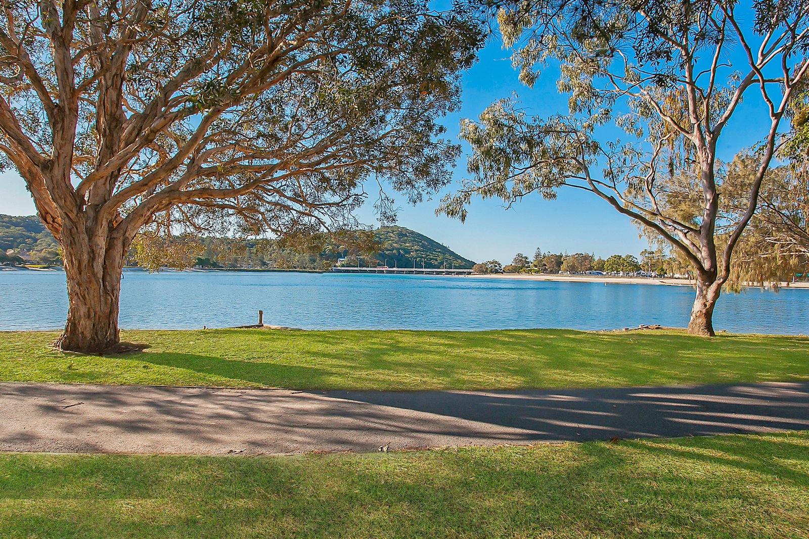 53 Melaleuca Drive PALM BEACH 20