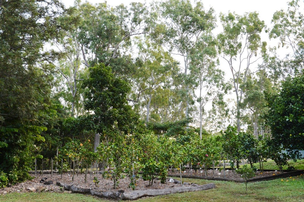 53 Mountney Road STRATHDICKIE 5