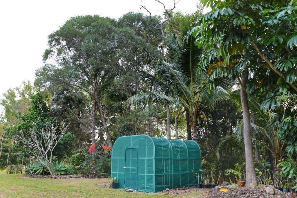 53 Mountney Road STRATHDICKIE 11