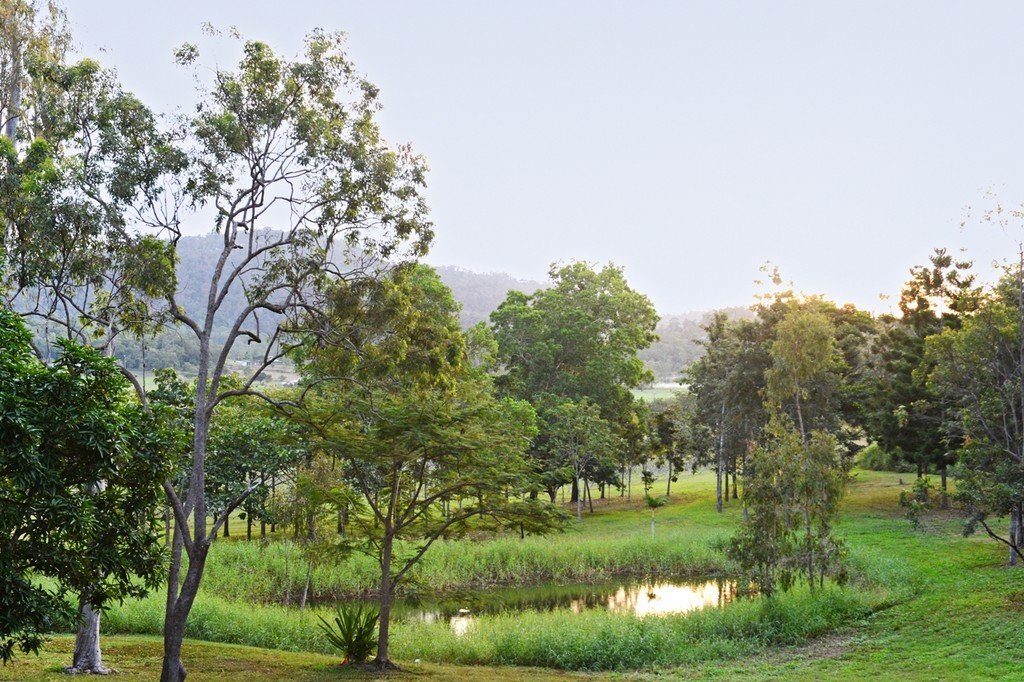 53 Mountney Road STRATHDICKIE 12