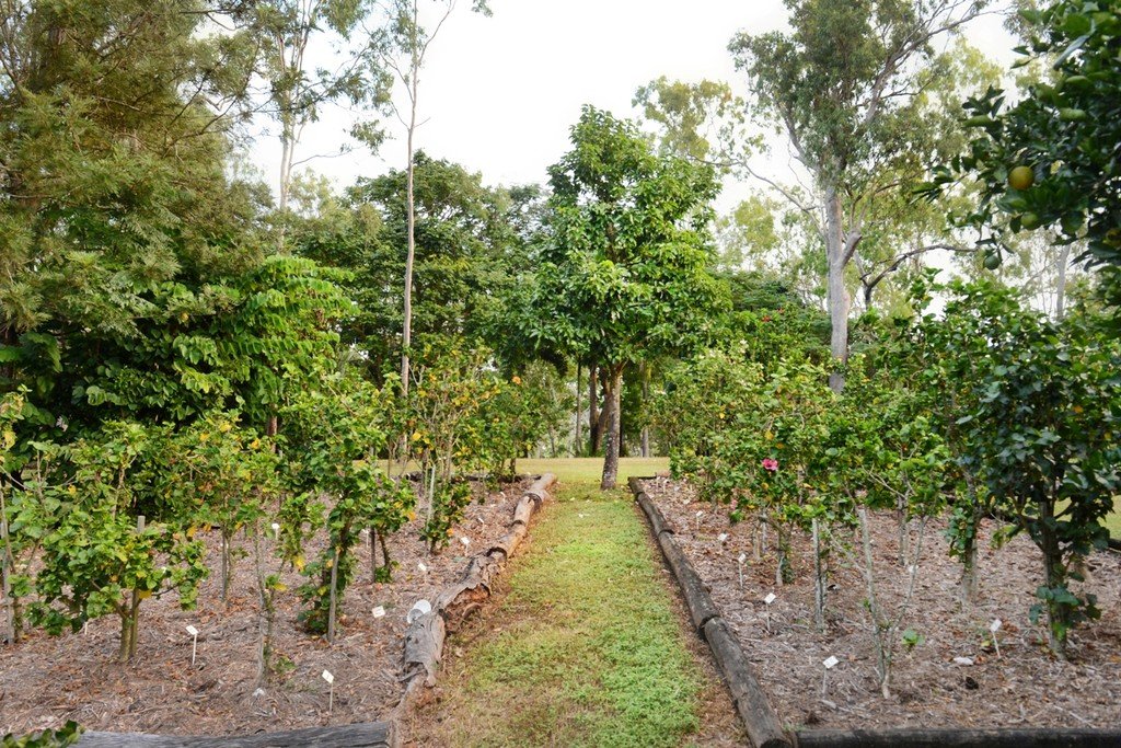 53 Mountney Road STRATHDICKIE 13