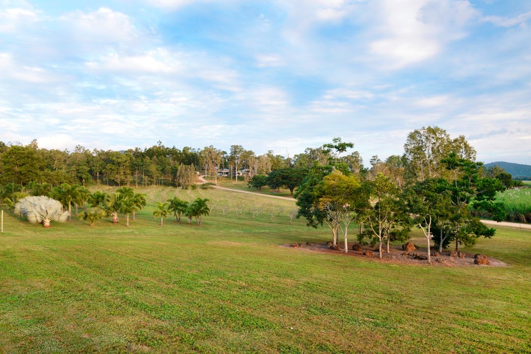 53 Mountney Road STRATHDICKIE 14