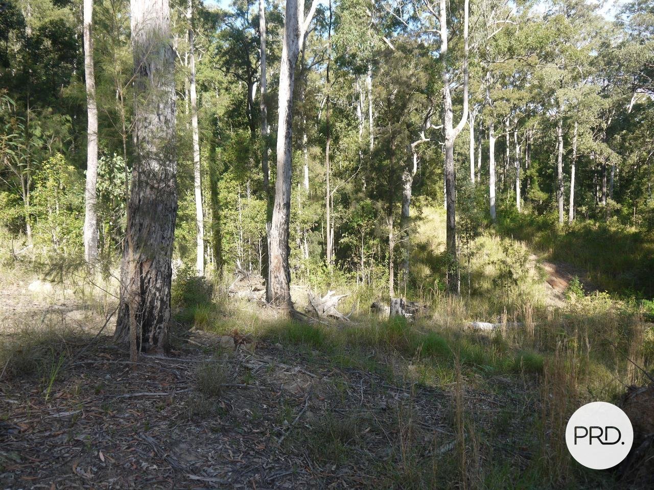 53 Nottingham Drive GLENREAGH 2