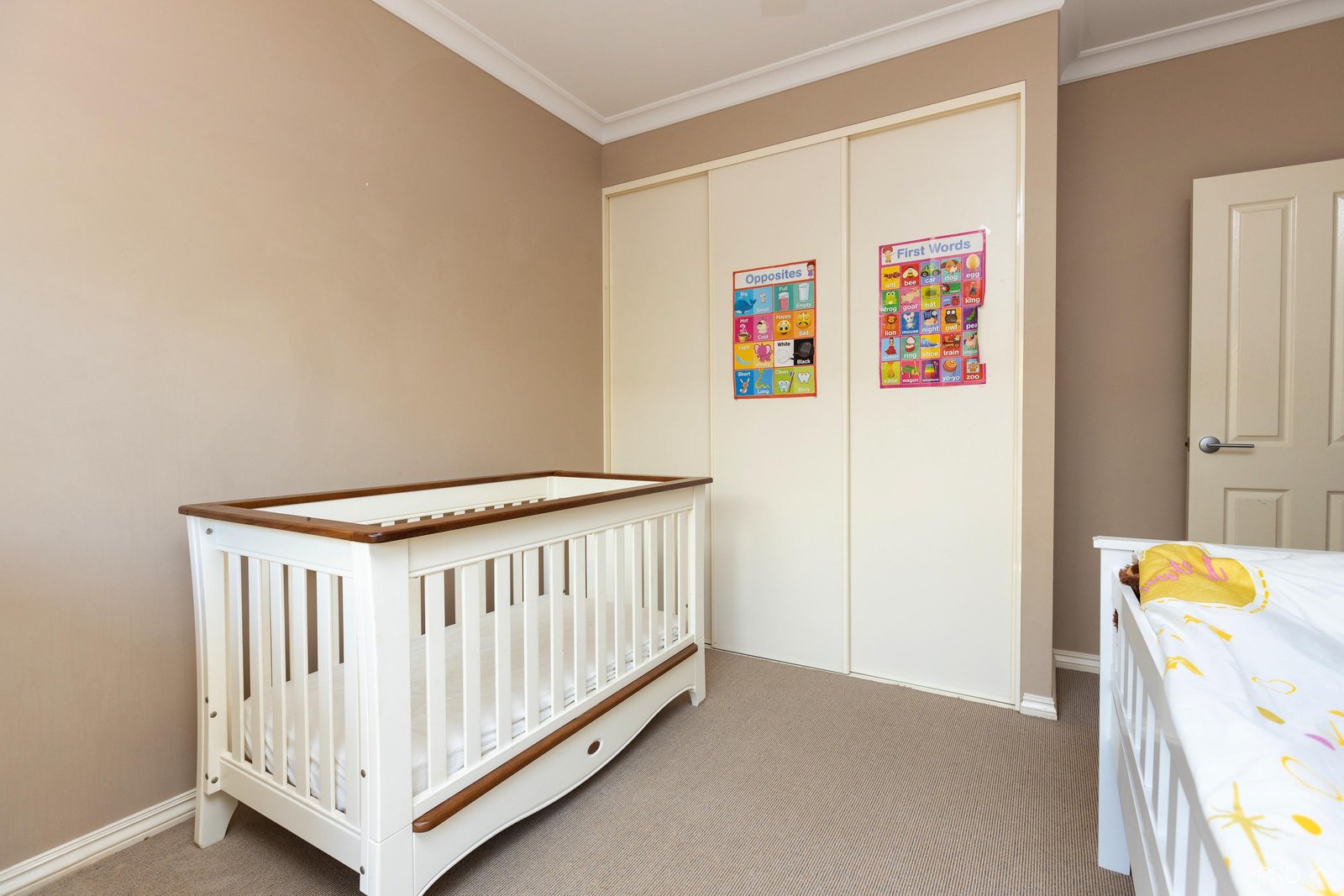 53 Planigale Loop DJUGUN 5