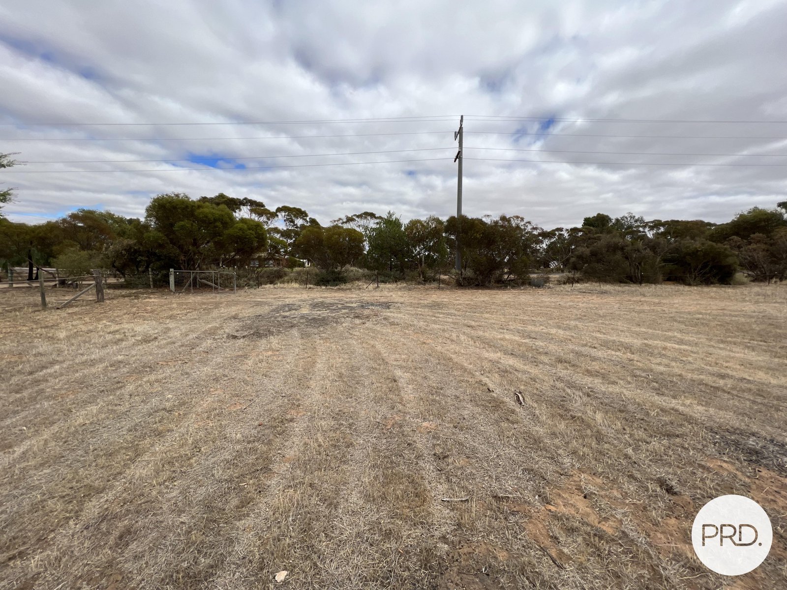 53 Reed Street MURRAYVILLE 3