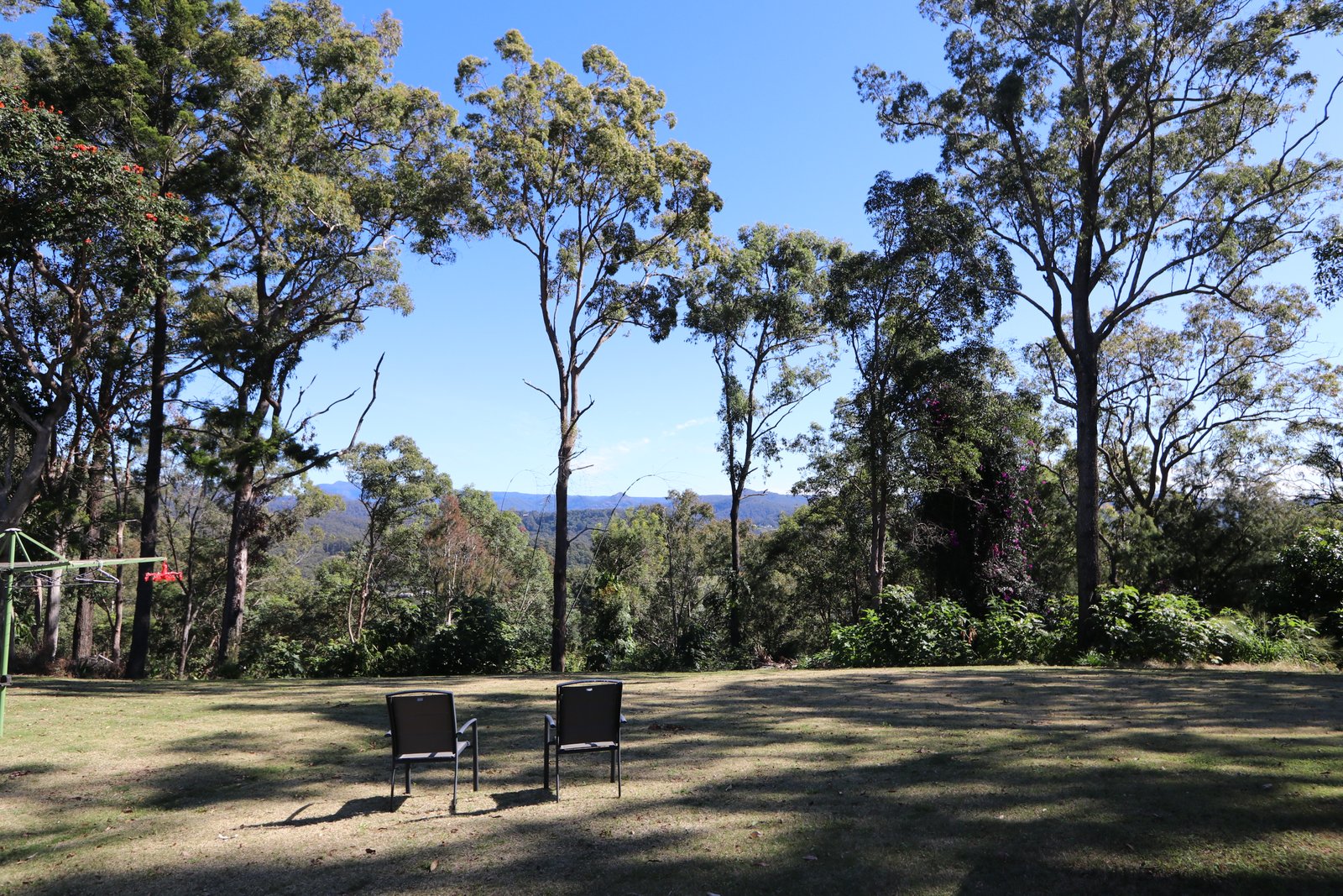 53 Westminster Boulevard ELANORA 2