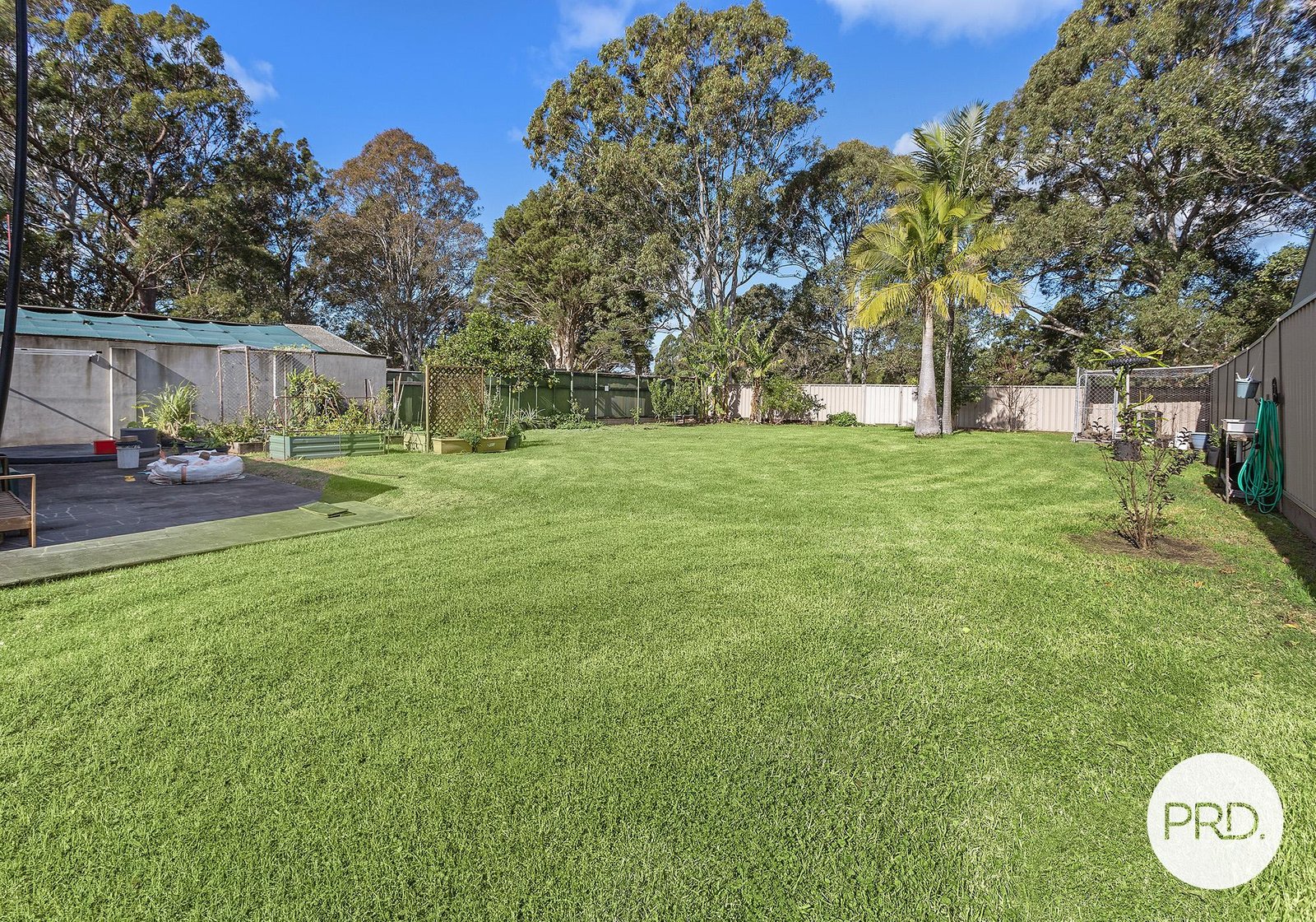 53 Wongawilli Road WONGAWILLI 11