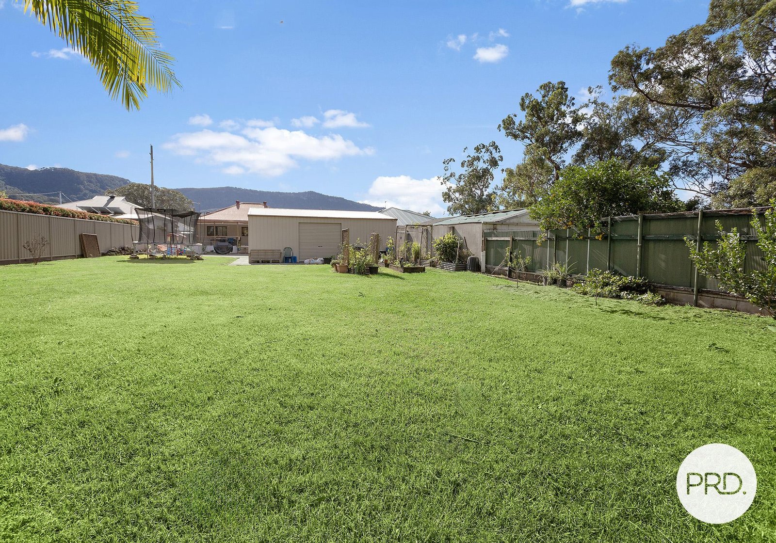 53 Wongawilli Road WONGAWILLI 12