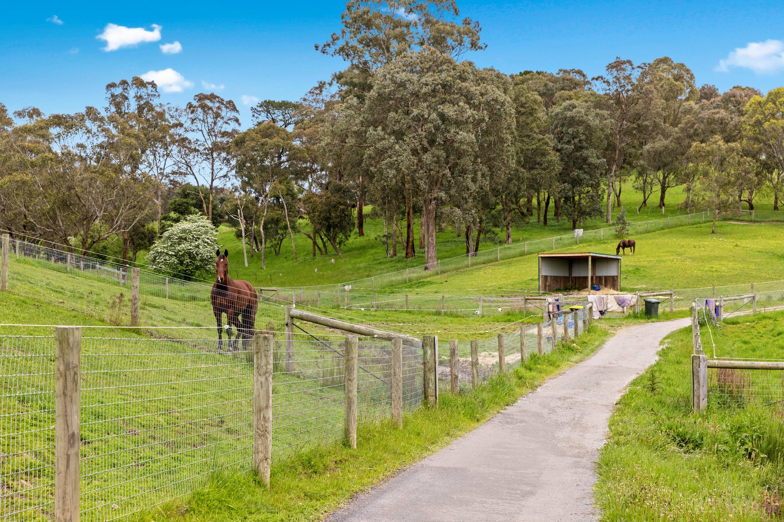 Real Estate and Property in 530-540 Ringwood Warrandyte Road, Park Orchards, VIC