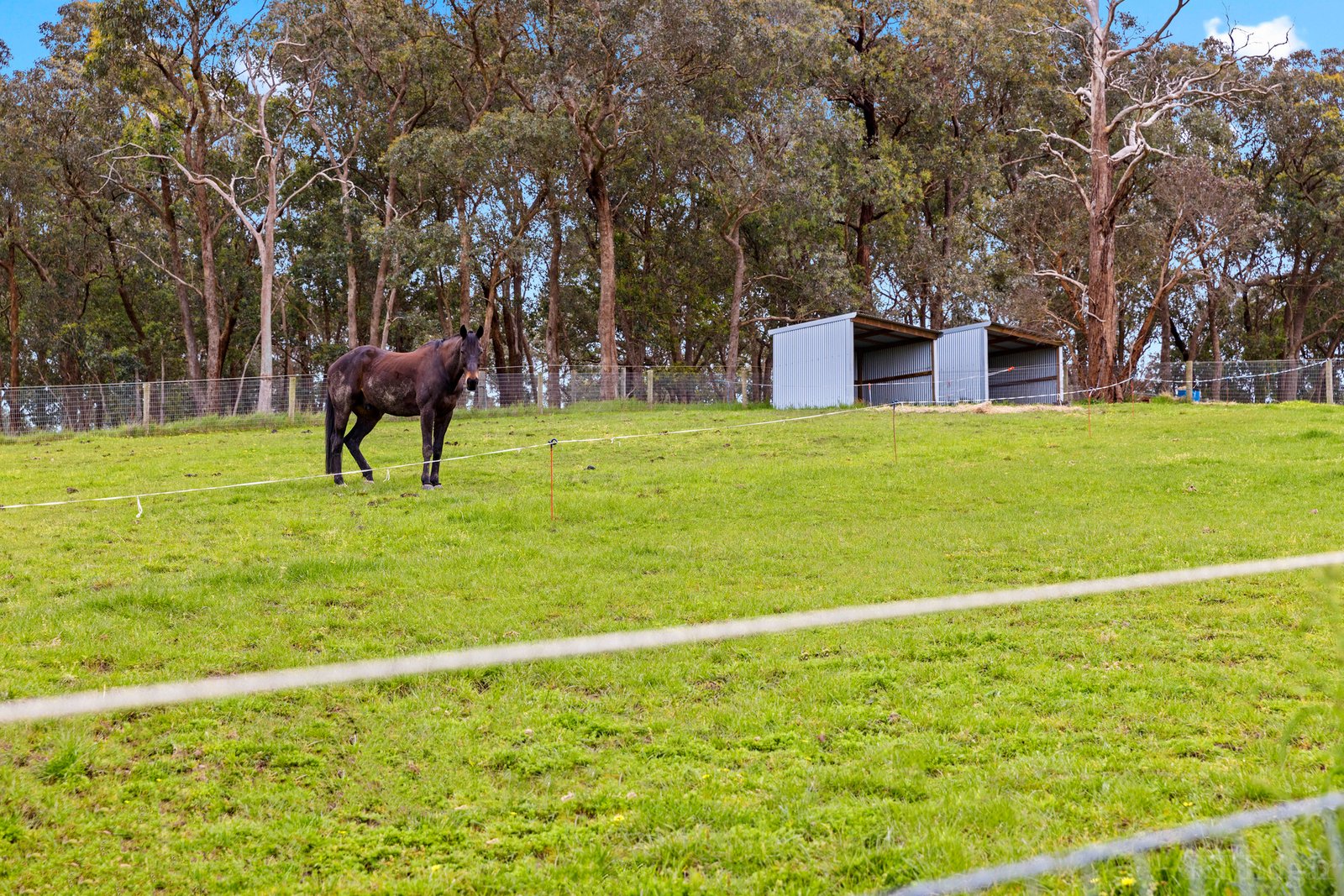 Real Estate and Property in 530-540 Ringwood Warrandyte Road, Park Orchards, VIC