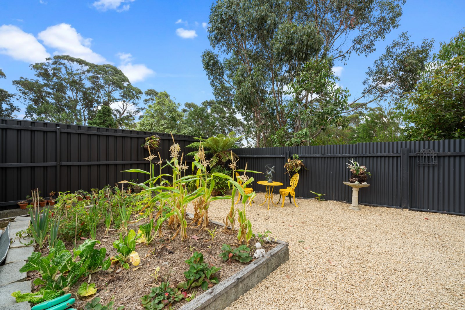 531 Nelson Road MOUNT NELSON 20