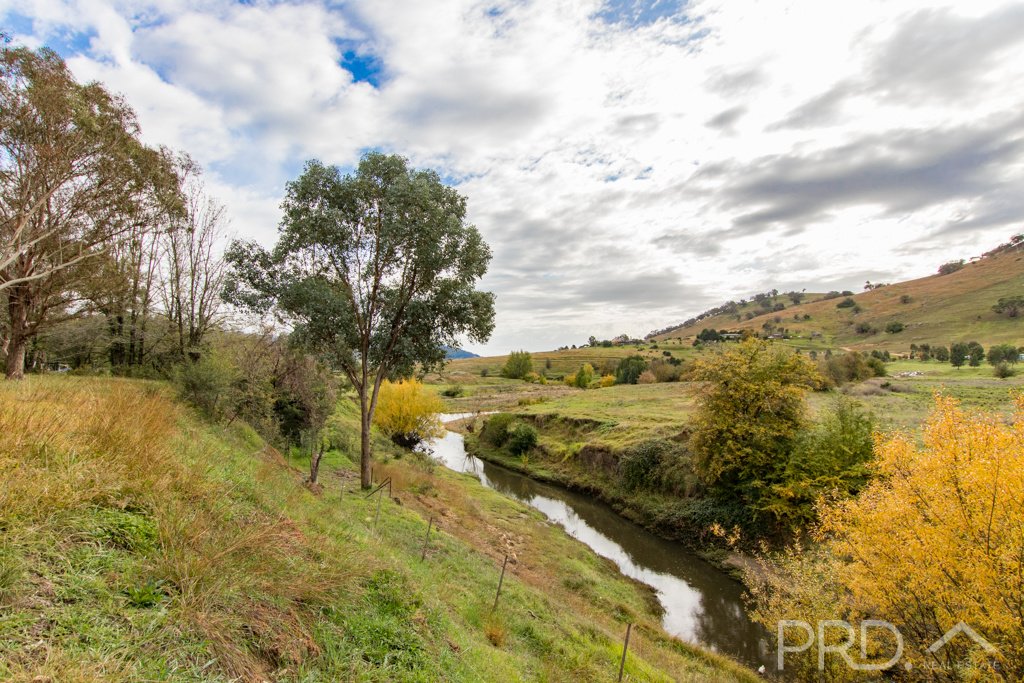 532 Grahamstown Road ADELONG 19