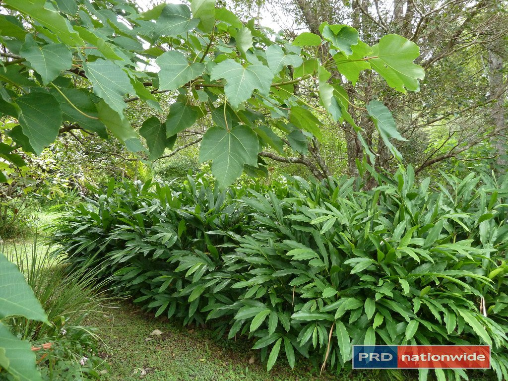 5327 Kyogle Road, Cawongla via  KYOGLE 21