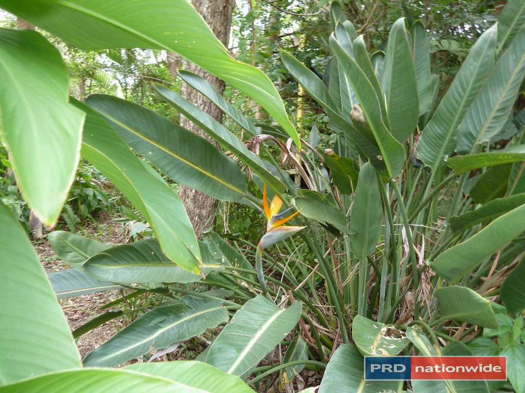 5327 Kyogle Road, Cawongla via  KYOGLE 24