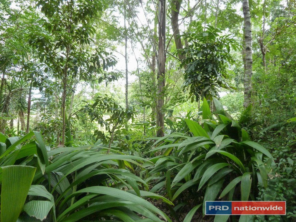 5327 Kyogle Road, Cawongla via  KYOGLE 26