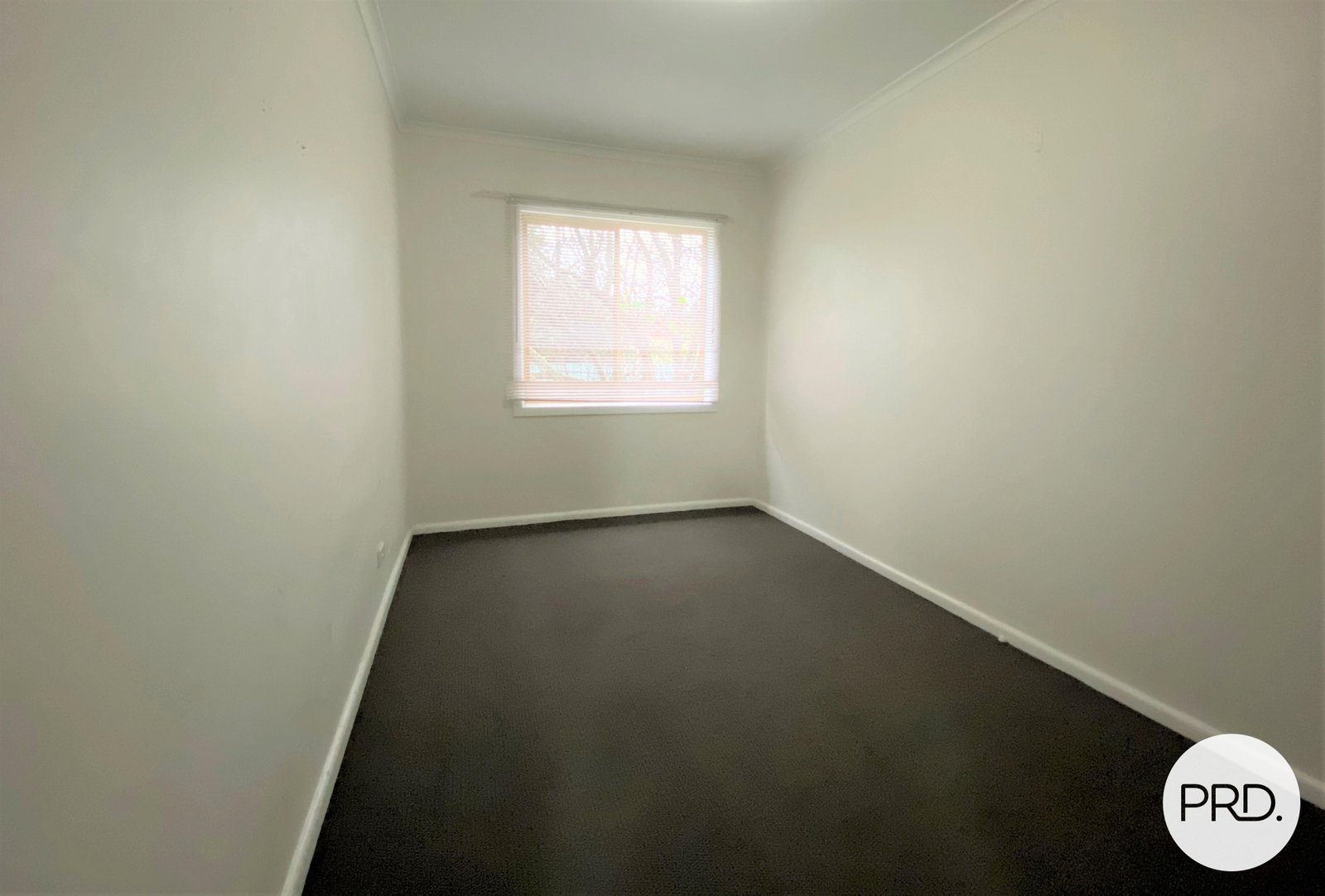 533 Hague Street LAVINGTON 5