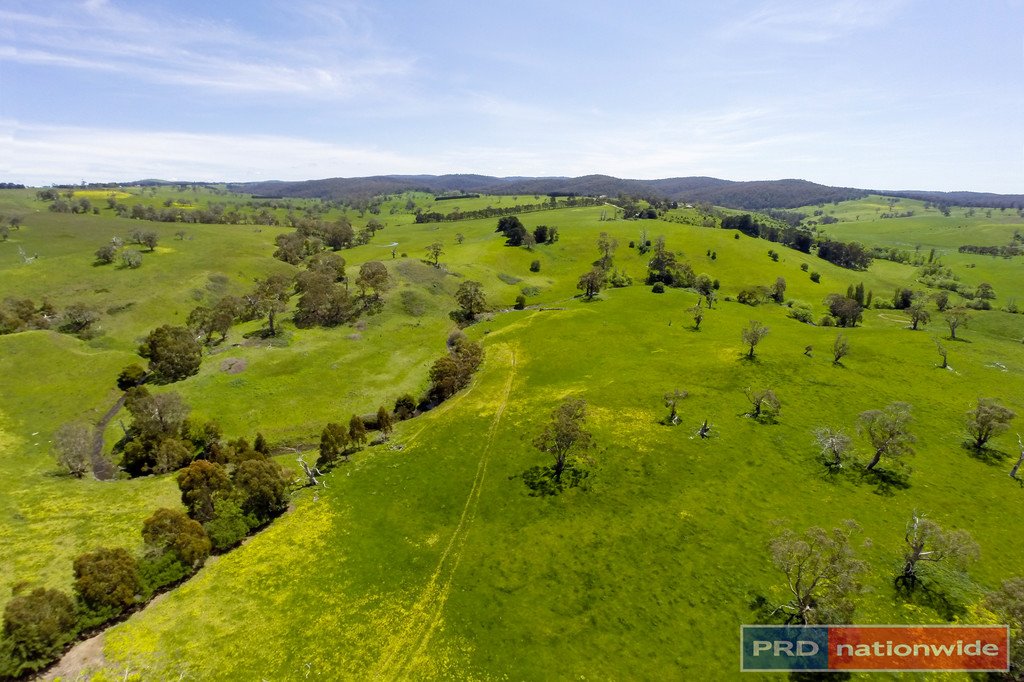 535 Ballan - Greendale Road BALLAN 6