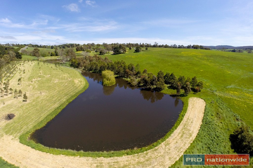 535 Ballan - Greendale Road BALLAN 8