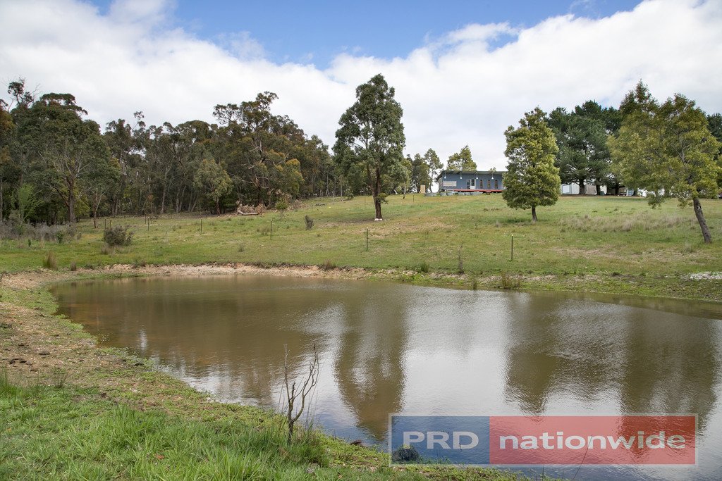 535 Staffordshire Reef Road STAFFORDSHIRE REEF 2