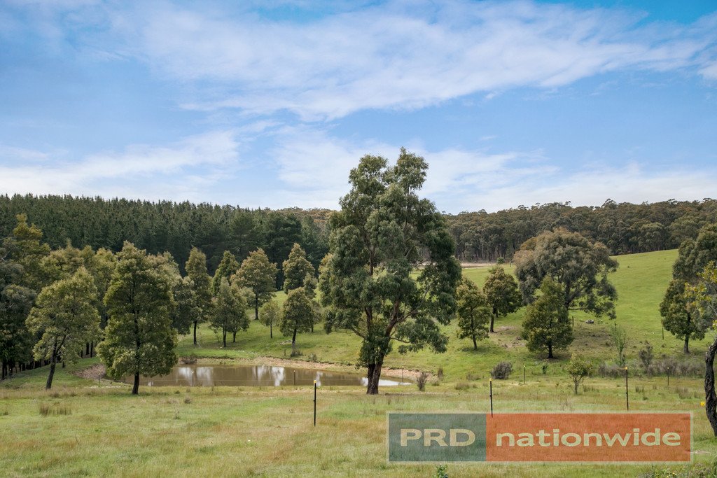 535 Staffordshire Reef Road STAFFORDSHIRE REEF 4