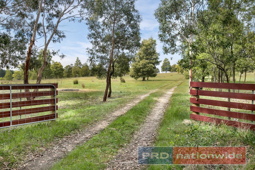 535 Staffordshire Reef Road STAFFORDSHIRE REEF 6