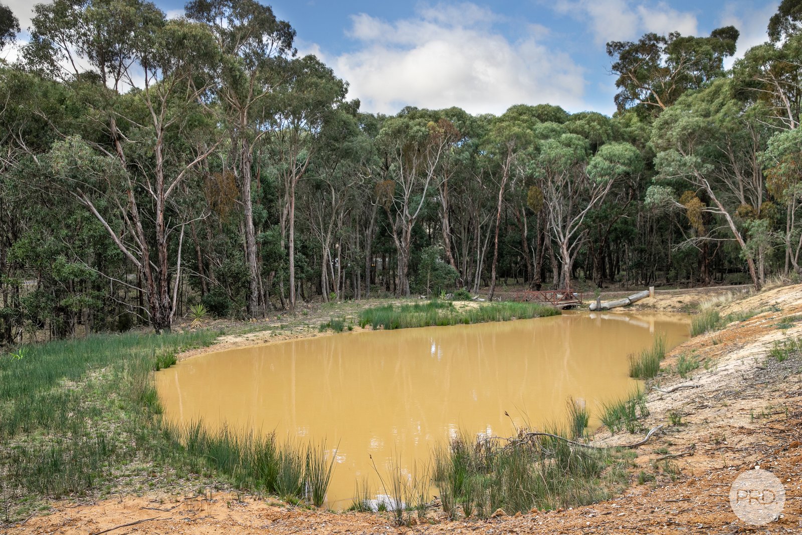536 Staffordshire Reef Road STAFFORDSHIRE REEF 8
