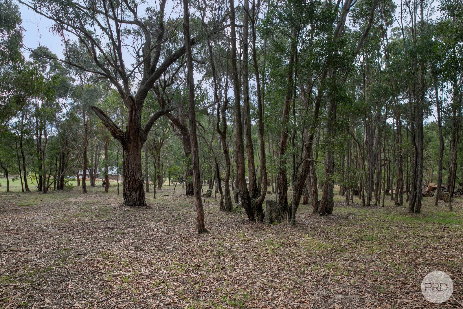 536 Staffordshire Reef Road STAFFORDSHIRE REEF 19