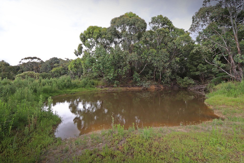 537 Broadleaf Park Road ROSEWOOD 1