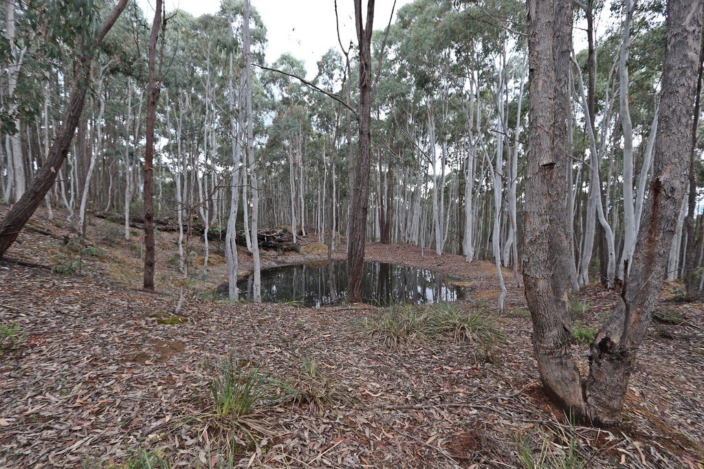 537 Broadleaf Park Road ROSEWOOD 3