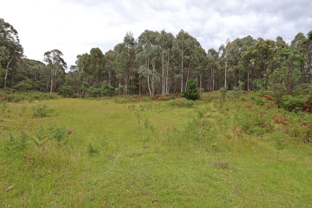 537 Broadleaf Park Road ROSEWOOD 4