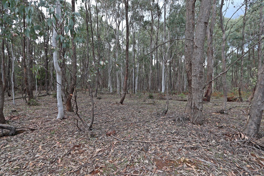 537 Broadleaf Park Road ROSEWOOD 7