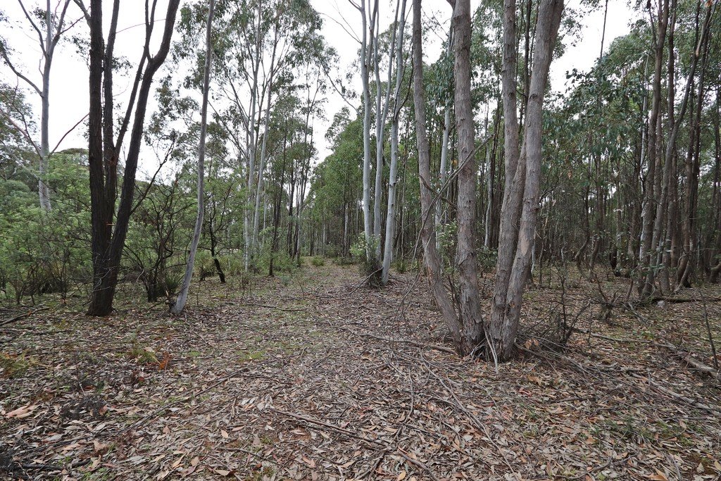 537 Broadleaf Park Road ROSEWOOD 8