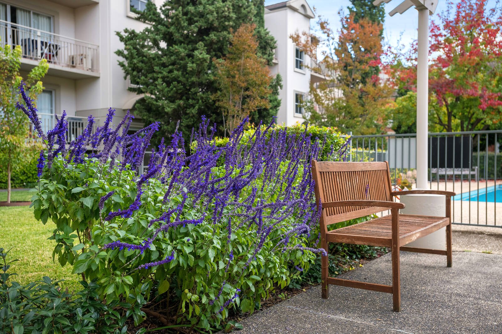 Real Estate and Property in 53/8 Perth Street, Prahran, VIC