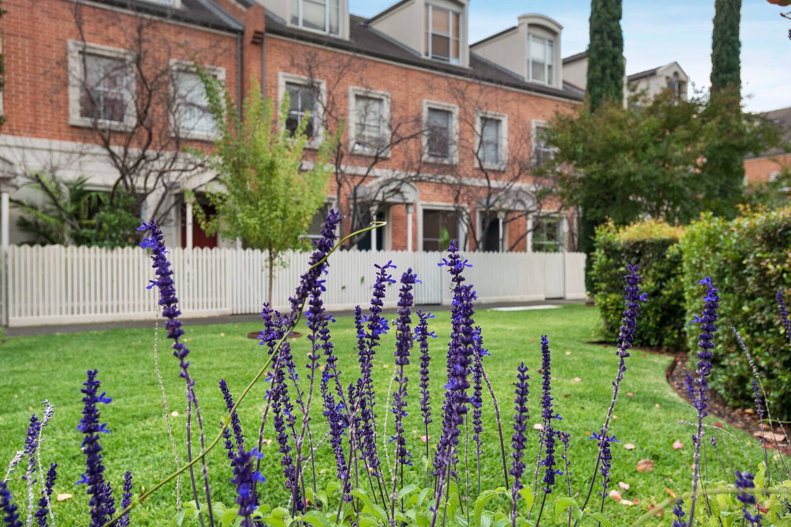 Real Estate and Property in 53/8 Perth Street, Prahran, VIC