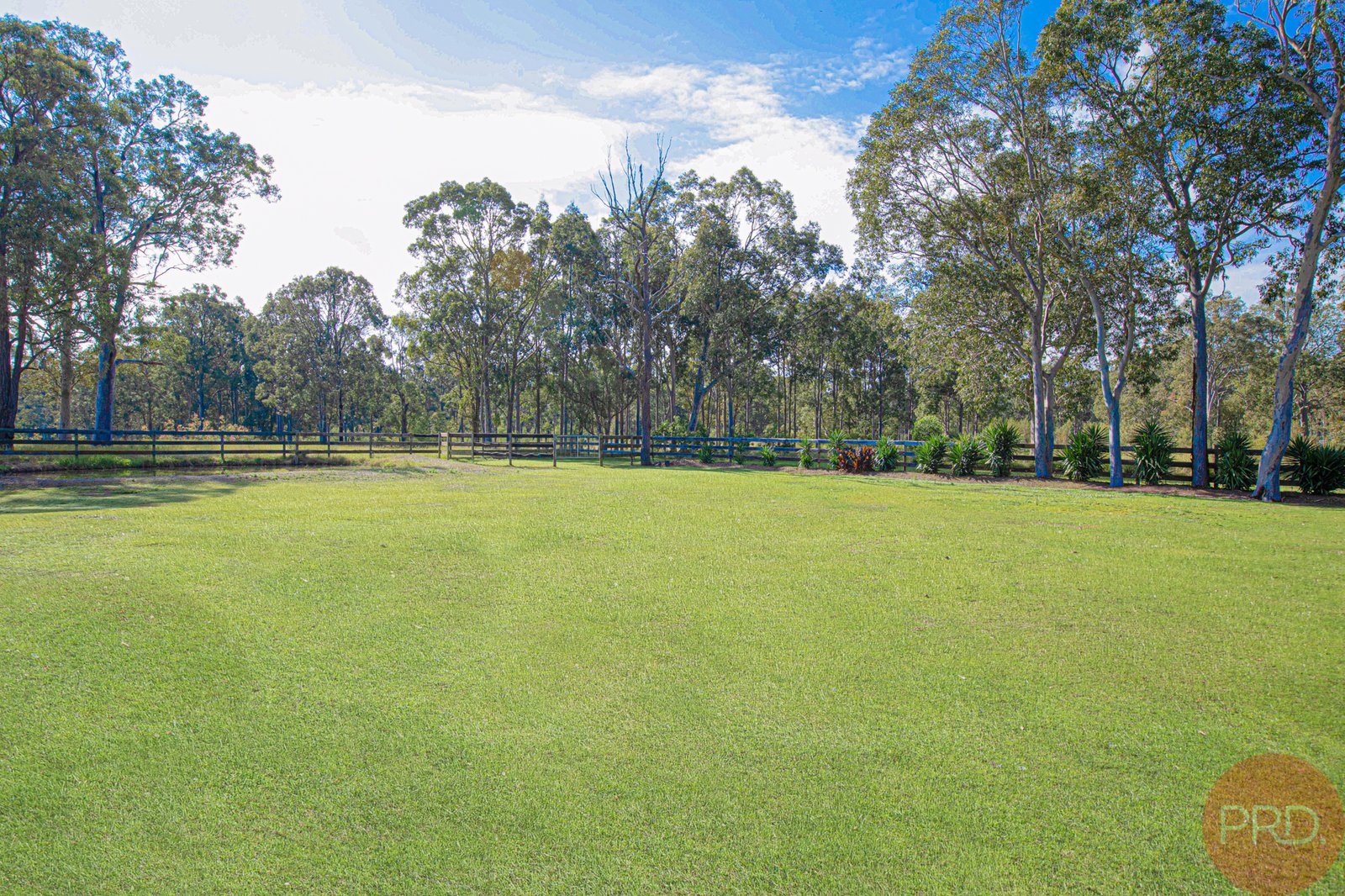 539 Raymond Terrace Road CHISHOLM 23