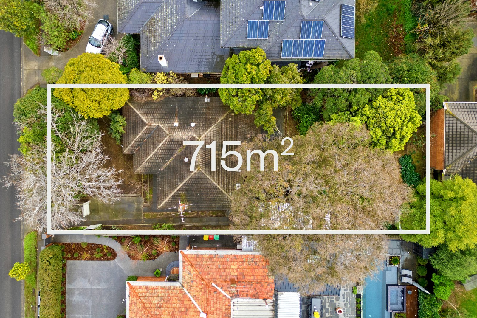 Gallery: 539 Waverley Road