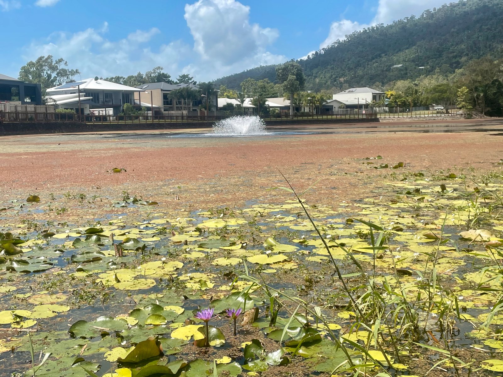 54 Abell Road CANNONVALE 18