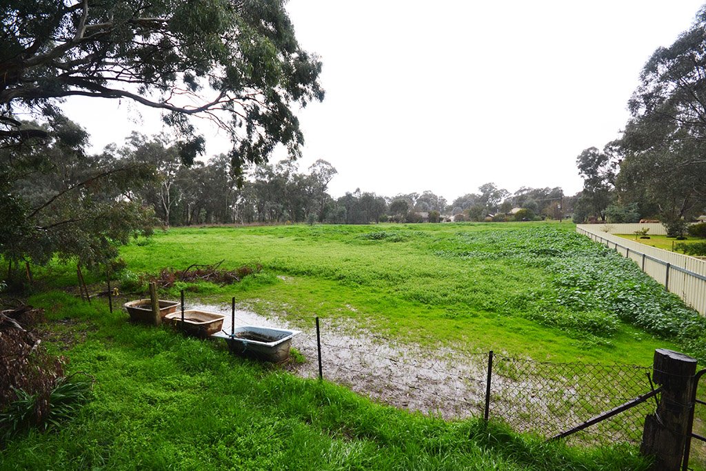 54 Baylis Street MANGOPLAH 2