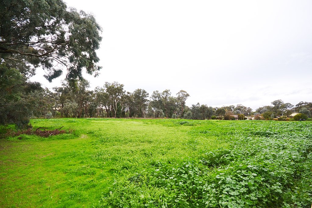54 Baylis Street MANGOPLAH 3